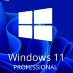 Windows 11 Professional