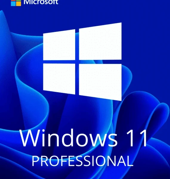 Windows 11 Professional