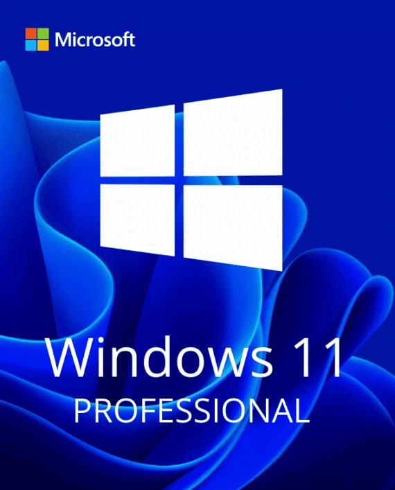 Windows 11 Professional